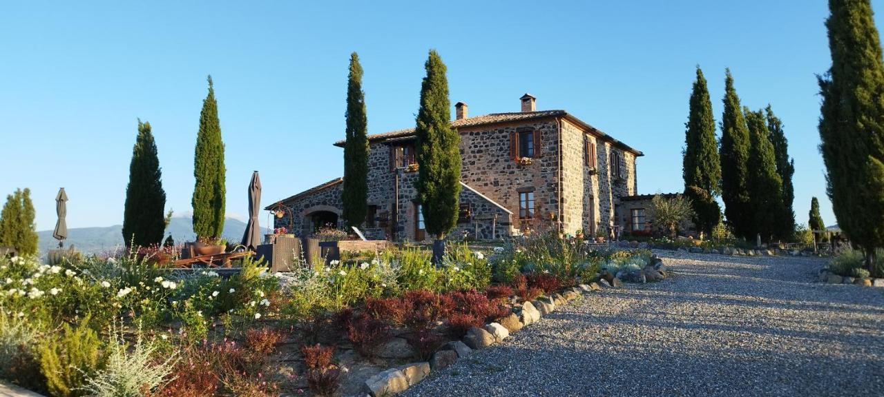 Casa Al Maestro B&B Radicofani Exterior photo